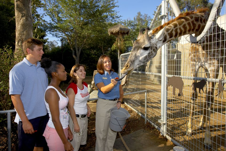 San Diego Zoo: 1-Day Admission Ticket - Your Best Strategy: One-Day Touring in a 100-Acre Zoo