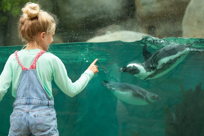 San Diego Zoo 1-Day Pass: Any Day Ticket - Exhibits that feel like animal neighborhoods (not backdrops)
