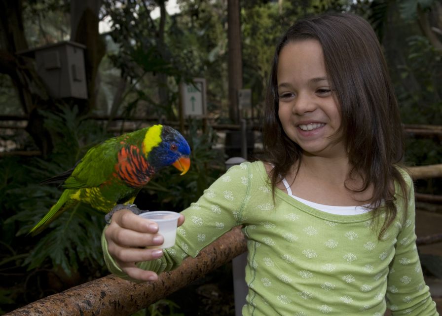 San Diego Zoo and Safari Park: 2-Day Entry Ticket - Zoo Time-Savers: Express Bus, Skyfari Tram, and a Guided Bus Tour