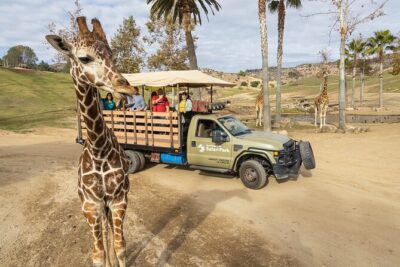 San Diego Zoo and Safari Park 2-Visit Pass Ticket - Safari Park day: Africa Tram, Heart of Africa trails, and Nairobi Village breaks