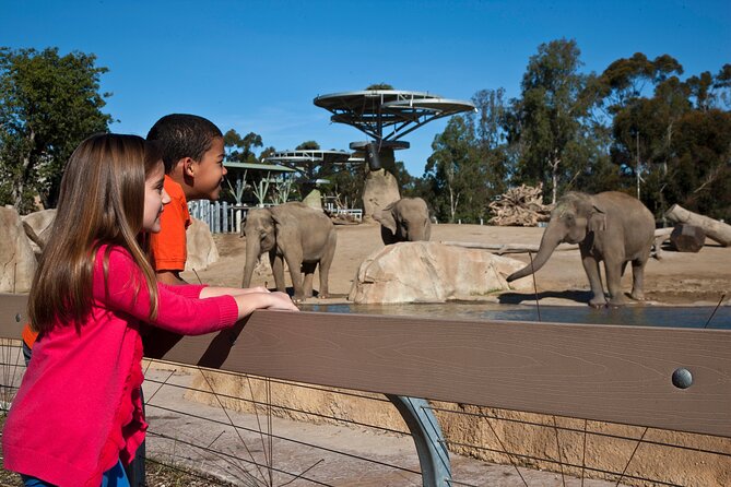 San Diego Zoo and Safari Park 2-Visit Pass Ticket - Entry and mobile tickets: keep this from turning stressful