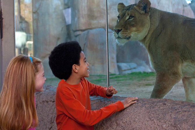 San Diego Zoo and Safari Park 2-Visit Pass Ticket - Parking, travel time, and the real-world cost surprises
