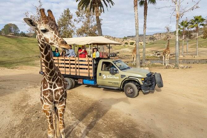 San Diego Zoo and Safari Park 2-Visit Pass Ticket - Safari Park day: Africa Tram, Heart of Africa trails, and Nairobi Village breaks