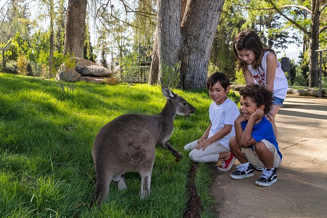 San Diego Zoo Safari Park 1-Day Pass: Any Day Ticket - Africa, Walkabout Australia, and the themed areas to target