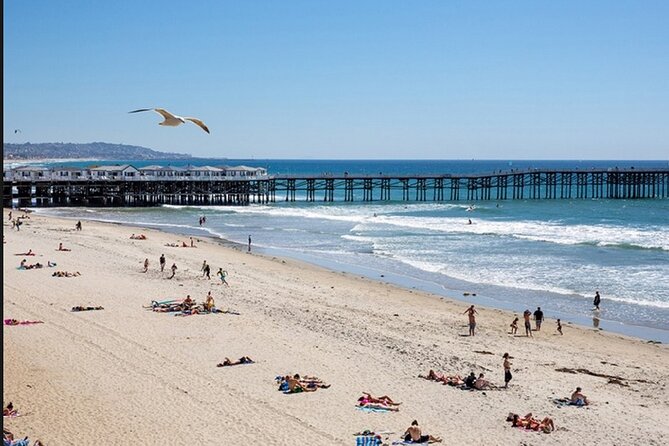 Semi-Private Surf Lesson - Pacific waves: fun, but expect them to be bigger than your guess
