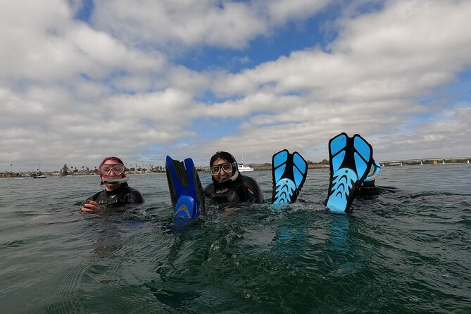 Snorkel San Diego's Mission Bay with a Marine Biologist - Photo album memories you’ll actually want to keep