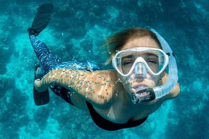 Snorkeling Adventure in La Jolla - Key things to know before you go
