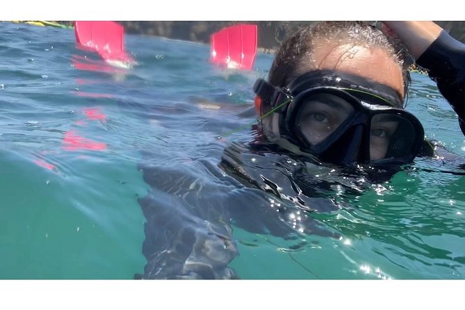 Snorkeling Adventure in La Jolla - Stop 1: La Jolla Underwater Park and the Wildlife You’ll Spot
