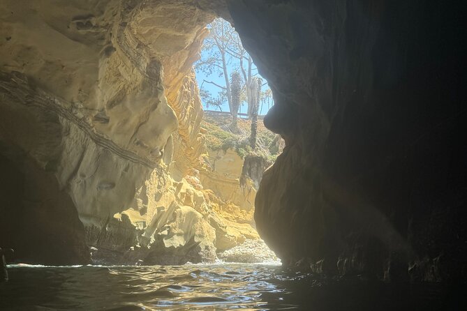 Snorkeling Adventure in La Jolla - Swimming Past Caves: How the Cave Route Builds Momentum