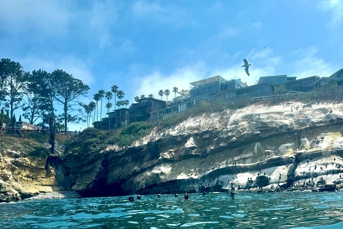 Snorkeling Adventure in La Jolla - Emerald Cave Swim: The Main Event