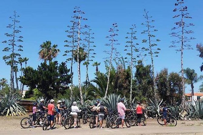 SoCal Riviera Electric Bike Tour of La Jolla and Mount Soledad - Windansea Beach: surf energy and photo-ready viewpoints