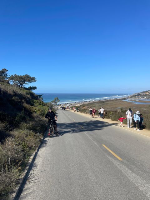 Solana Beach: E-Bike Tour to Torrey Pines or North Coast - What makes the e-bike ride feel effortless (and why that matters)