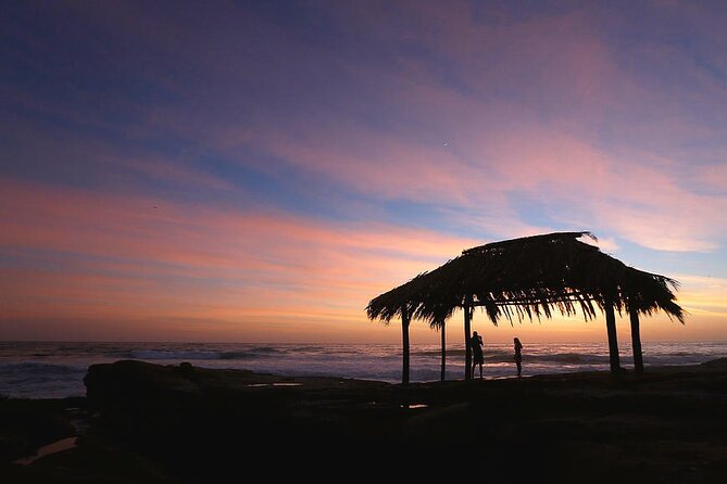 Sunset Electric Bike Tour of La Jolla - Stop 3: Children’s Pool and the human-seal vibe