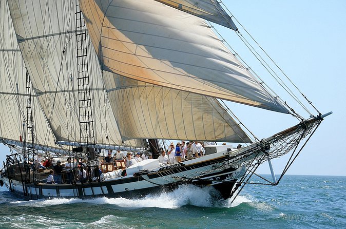 Tall Ship Adventure aboard the Schooner Californian with General Admission - Cannon firing: the loud moment right before docking
