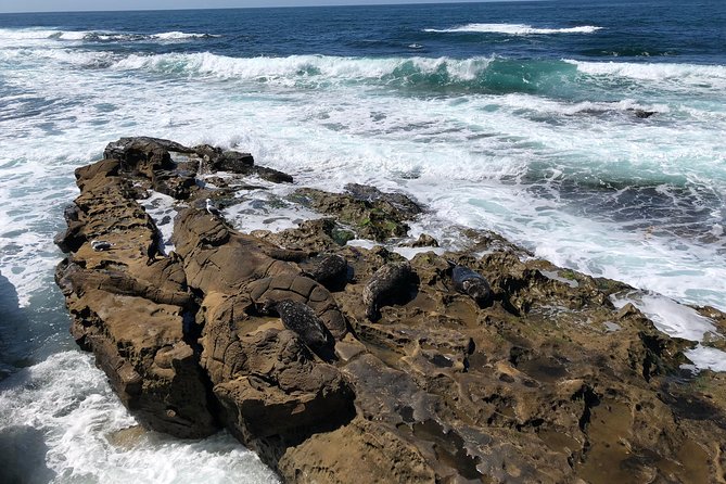 The La Jolla Tour - What to bring for a smooth coast day