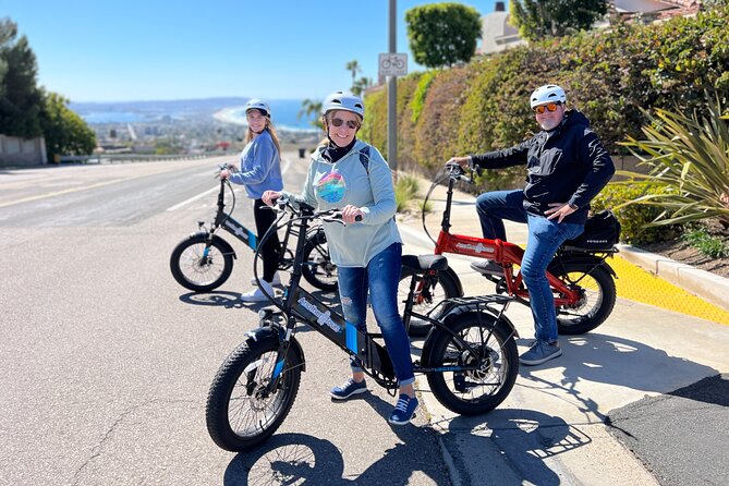 The Mount Soledad E-Bike Tour - Legends Gallery and the Children’s Pool seal story