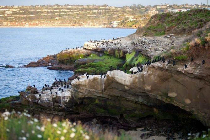The Ultimate San Diego Tour - Coronado Bridge to Coronado Island: beach time with real context