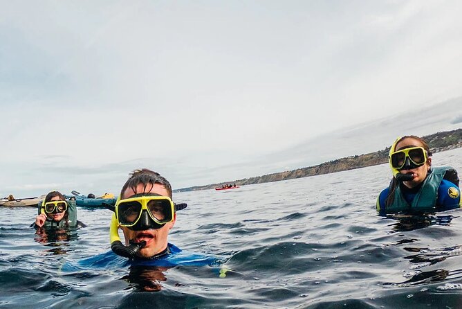Two Hour Kayak and Snorkel Tour for Two in La Jolla - Sea Caves Are Off-Limits Here (So Pick the Right La Jolla Tour)