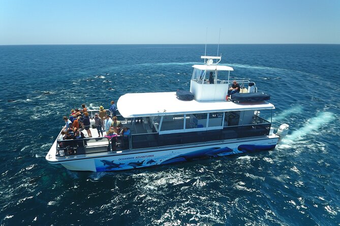 Two-Hour Luxury Whale Watching Tour from Oceanside - The 2-Hour Route: San Diego Coastline Views From Oceanside to the Pier