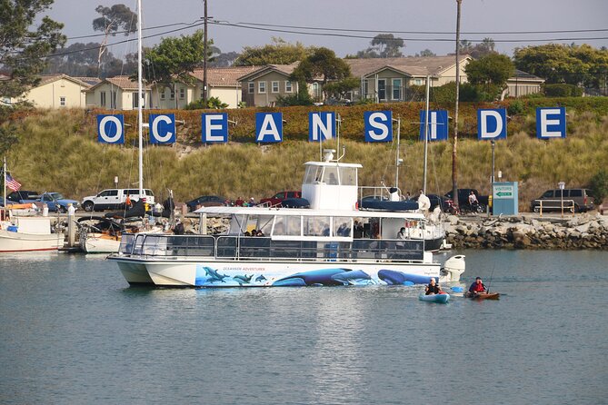Two-Hour Luxury Whale Watching Tour from Oceanside - Onboard Experience: Comfort, Views, and What’s Sold (Cash Only)