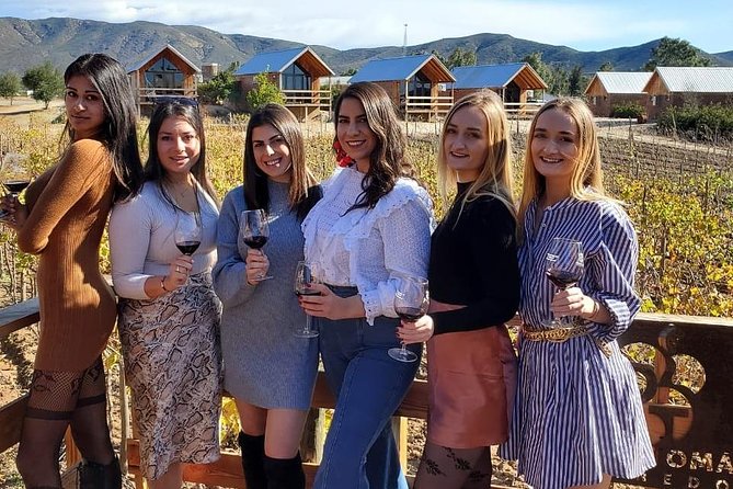 Valle de Guadalupe Wine Tour - Key Highlights Worth Knowing