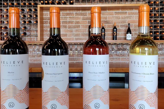 Valle de Guadalupe Wine Tour - Three Wineries in One Day: How the Route Adds Value