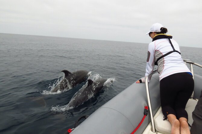 Whale and Dolphin Watching in San Diego - Captains matter: what you’ll learn from Alysa and Ray
