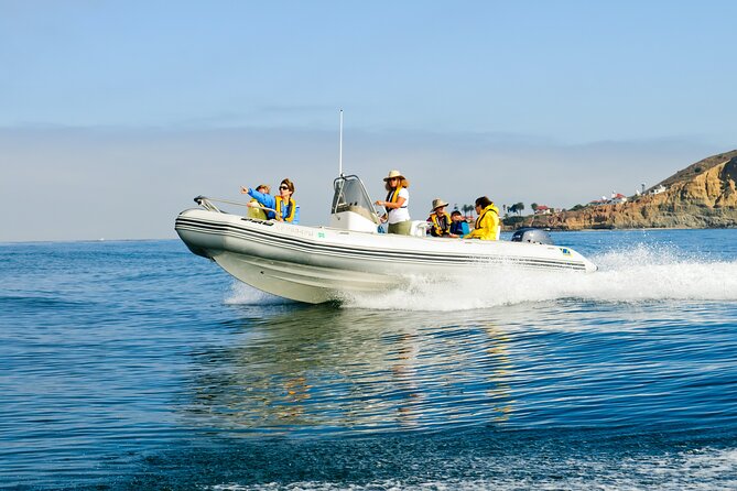 Whale and Dolphin Watching in San Diego - Safety and comfort you don’t have to guess about